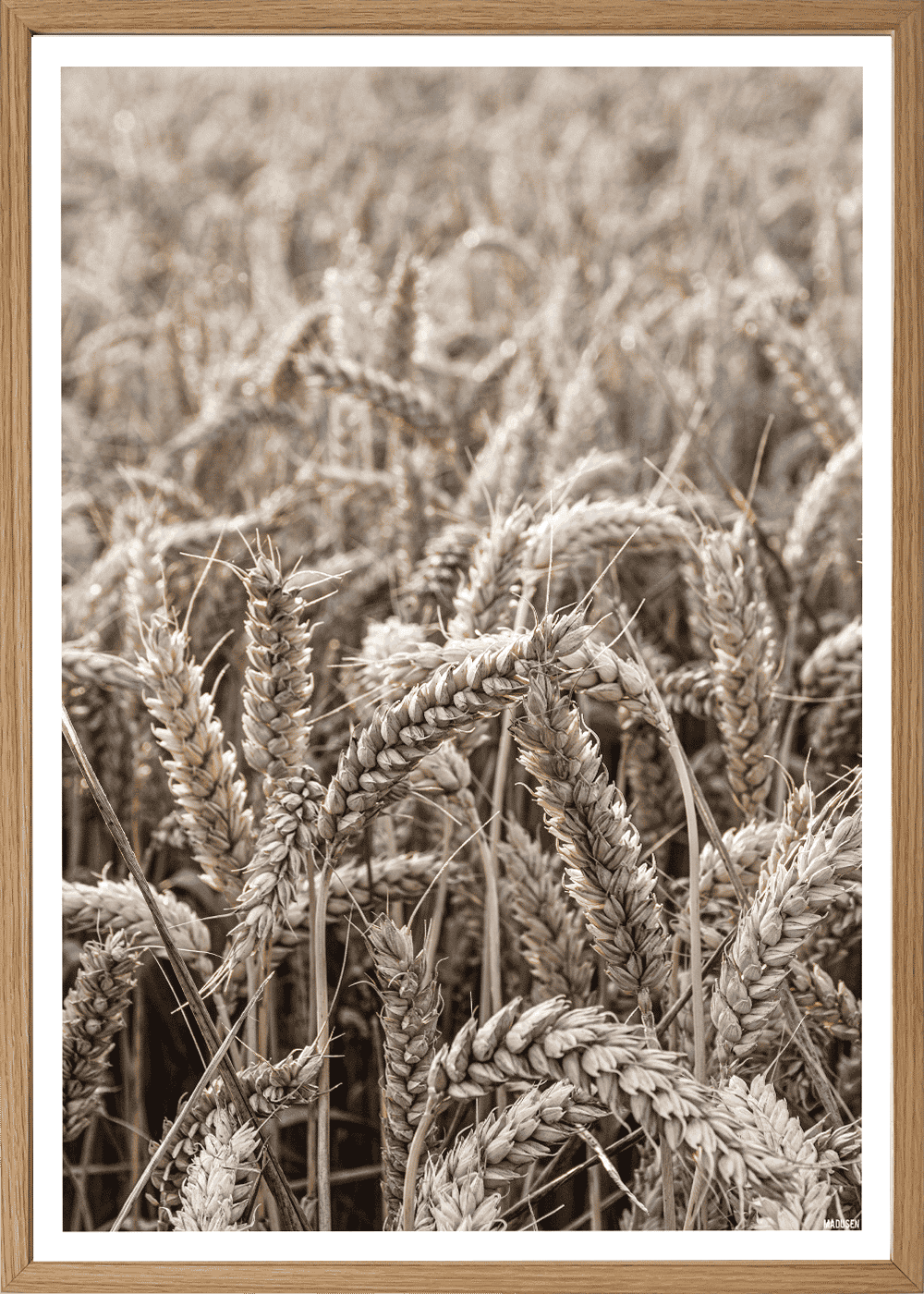 Kornmark Plakat