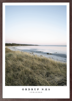 Ordrup Næs Stranden Plakat