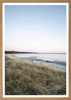 Ordrup Næs Stranden Plakat