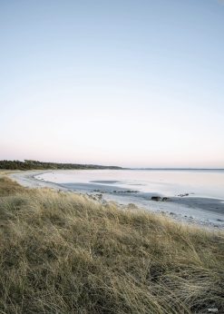 Ordrup Næs Stranden Plakat