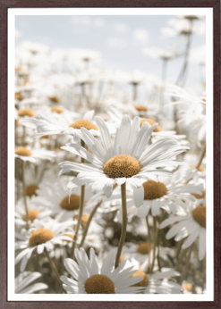 Marguerit Plakat