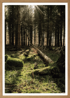 Fruerskov Plakat