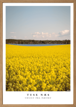 Alternative view of Tuse Næs Udsigt fra Næsset Plakat