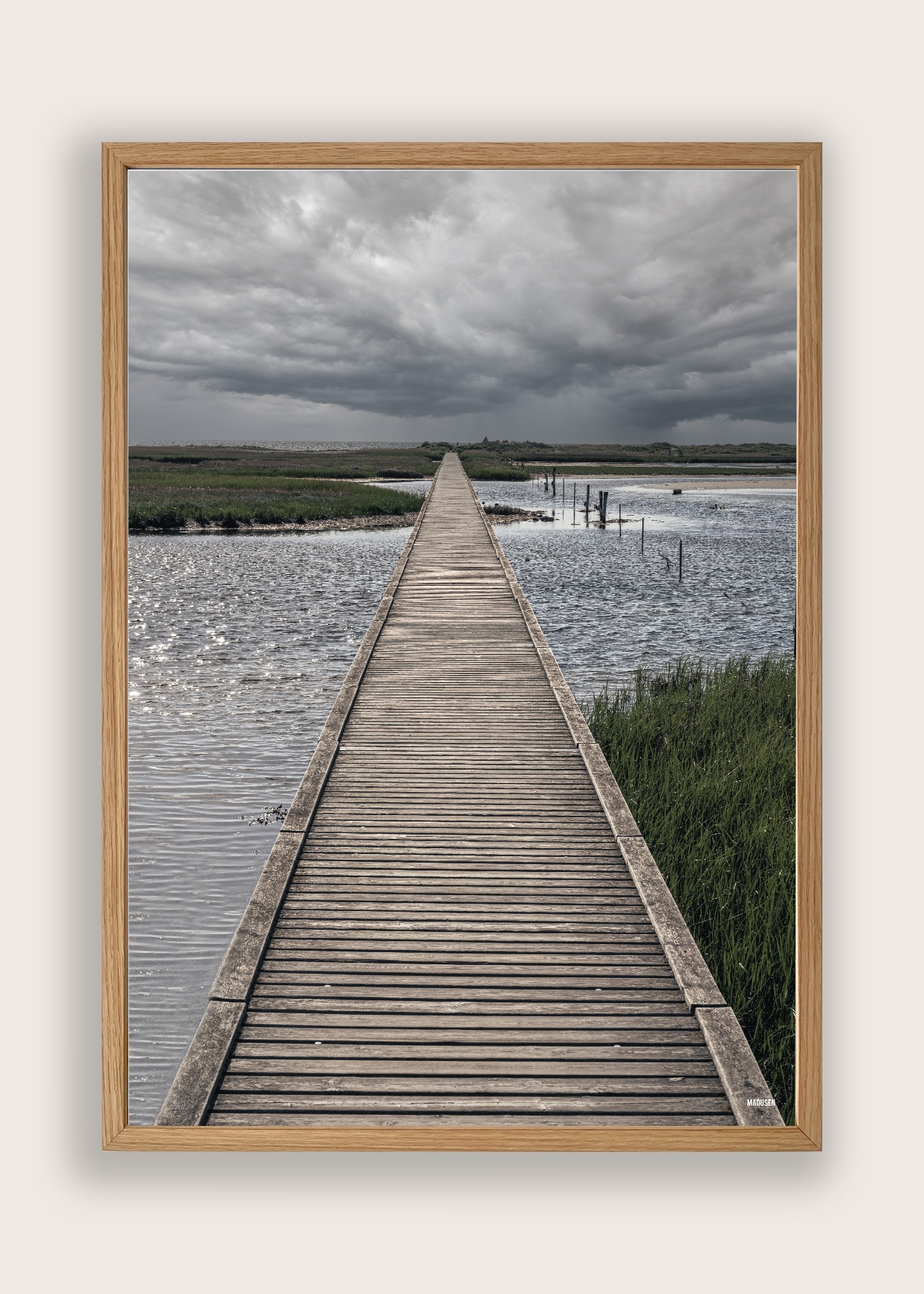 Odsherred Korevlerne Plakat - Billede 3