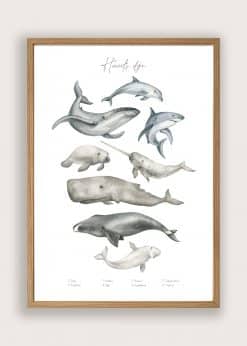 Havets Dyr Plakat