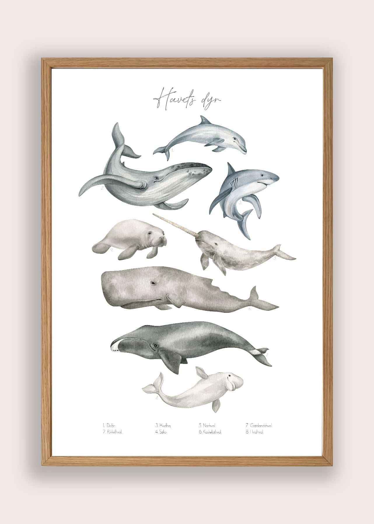 Havets Dyr Plakat