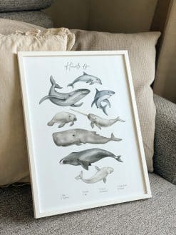 Alternative view of Havets Dyr Plakat