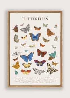 Butterflies Beige Plakat