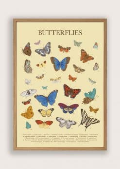 Butterflies Gul Plakat