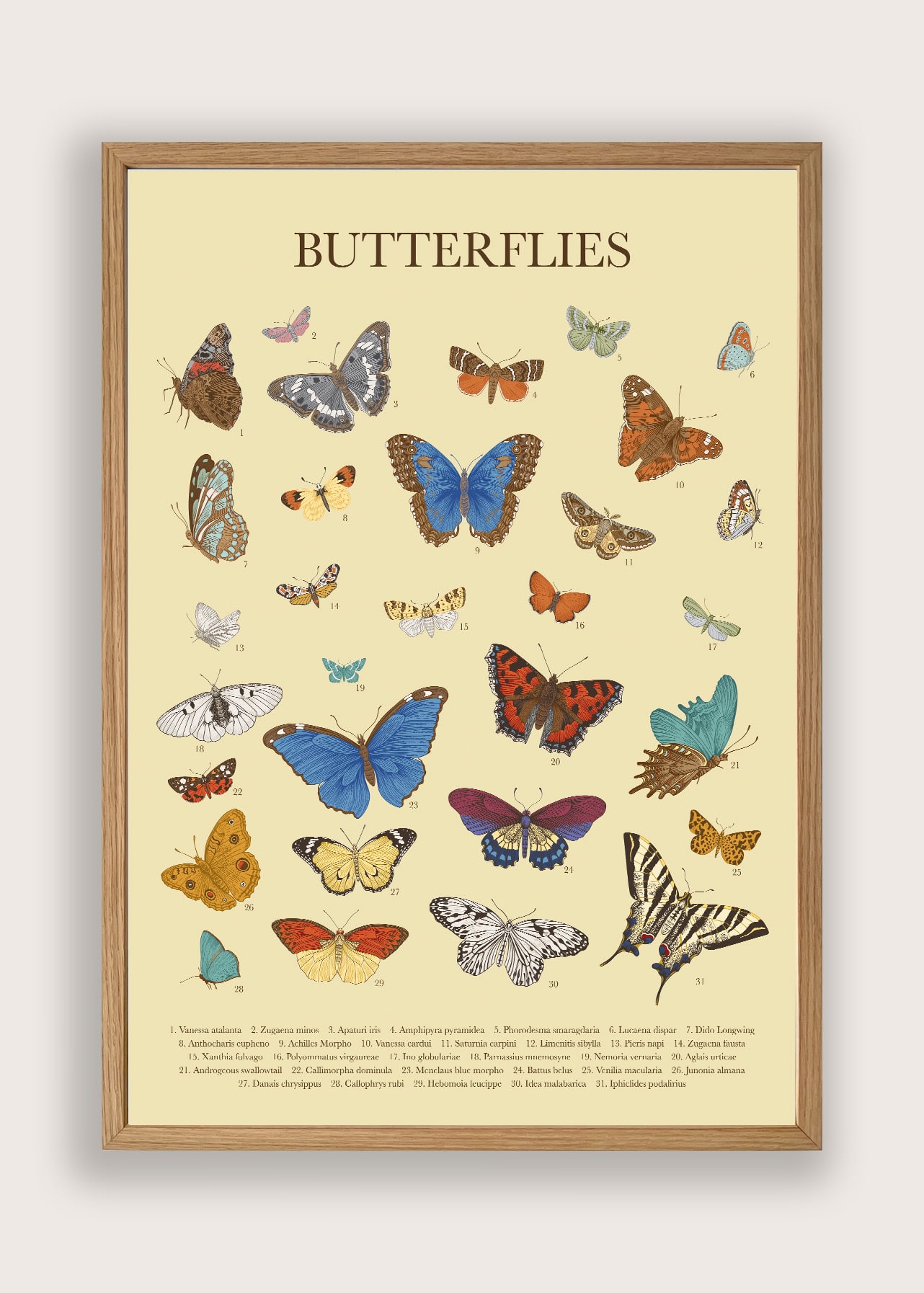 Butterflies Gul Plakat