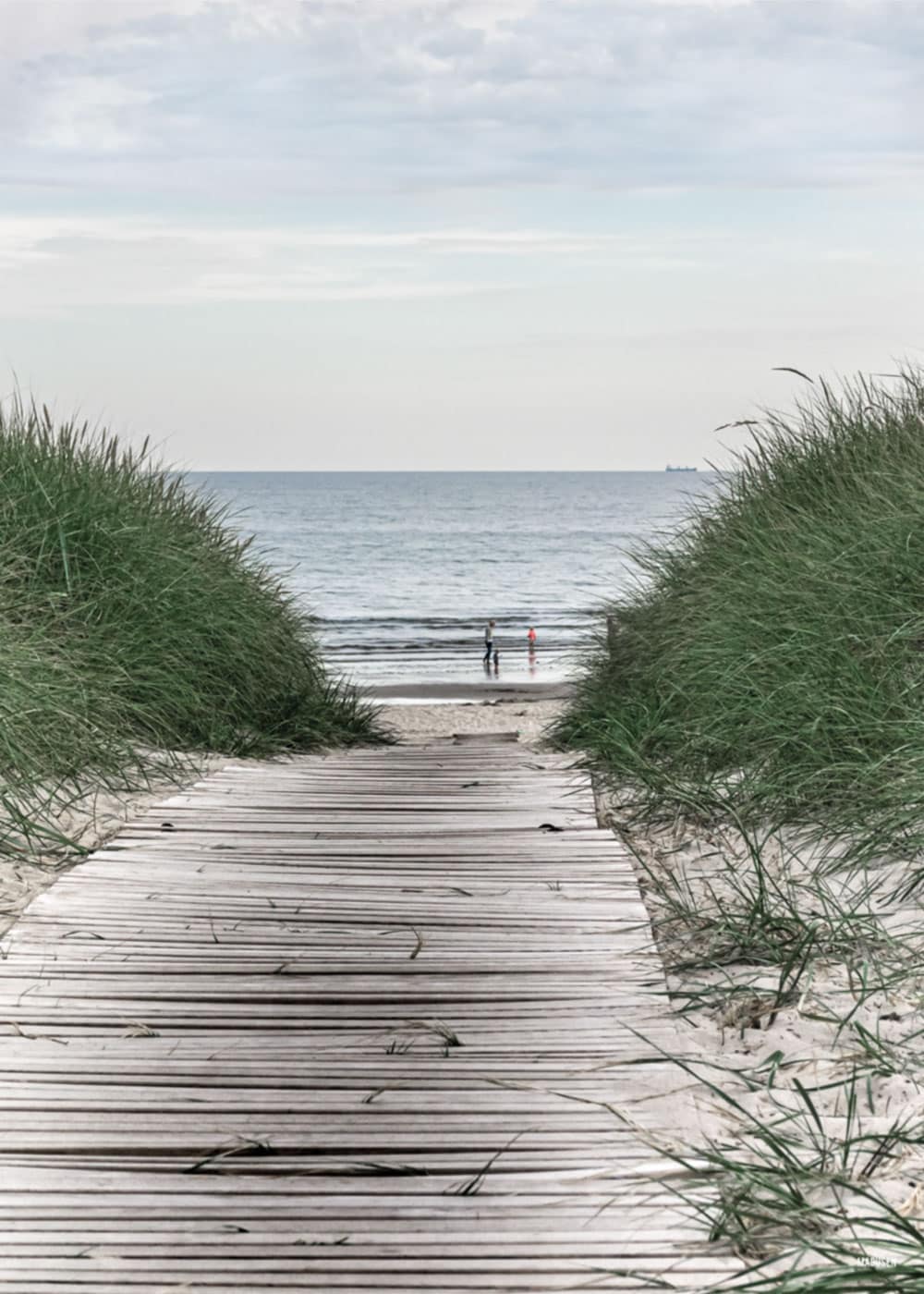 Blåvand Hvidbjerg Strand Akustikbillede
