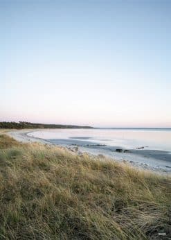 Ordrup Næs Stranden Akustikbillede