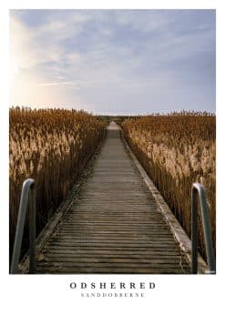 Odsherred Sanddobberne 3 Plakat