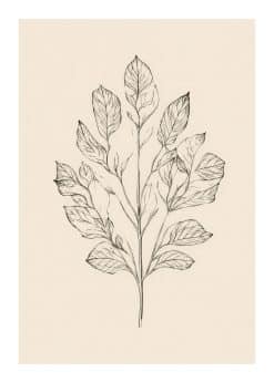Quiet Botanica Plakat