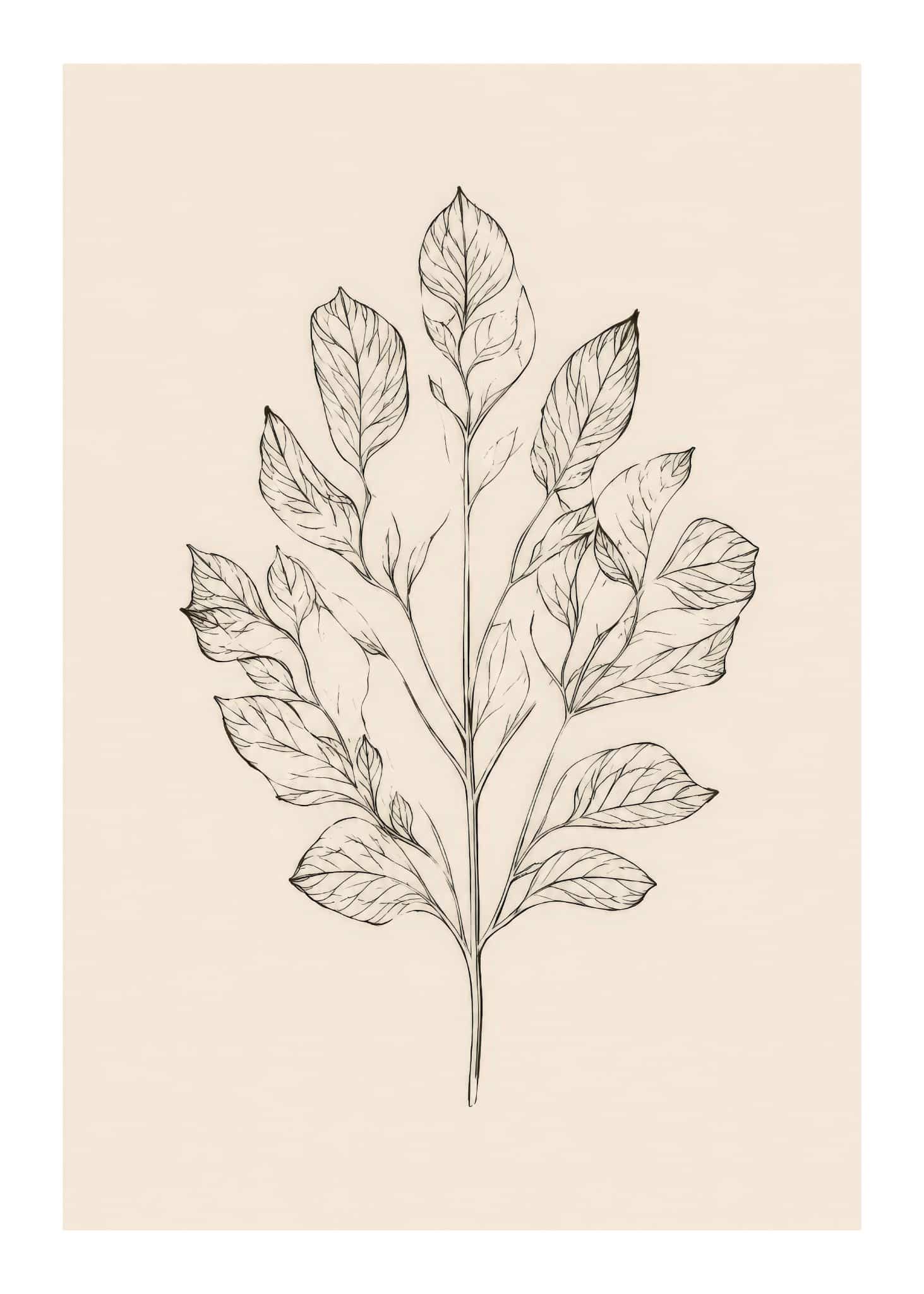 Quiet Botanica Plakat