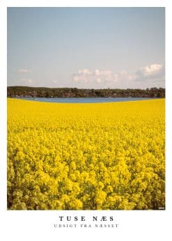 Tuse Næs Udsigt fra Næsset Plakat
