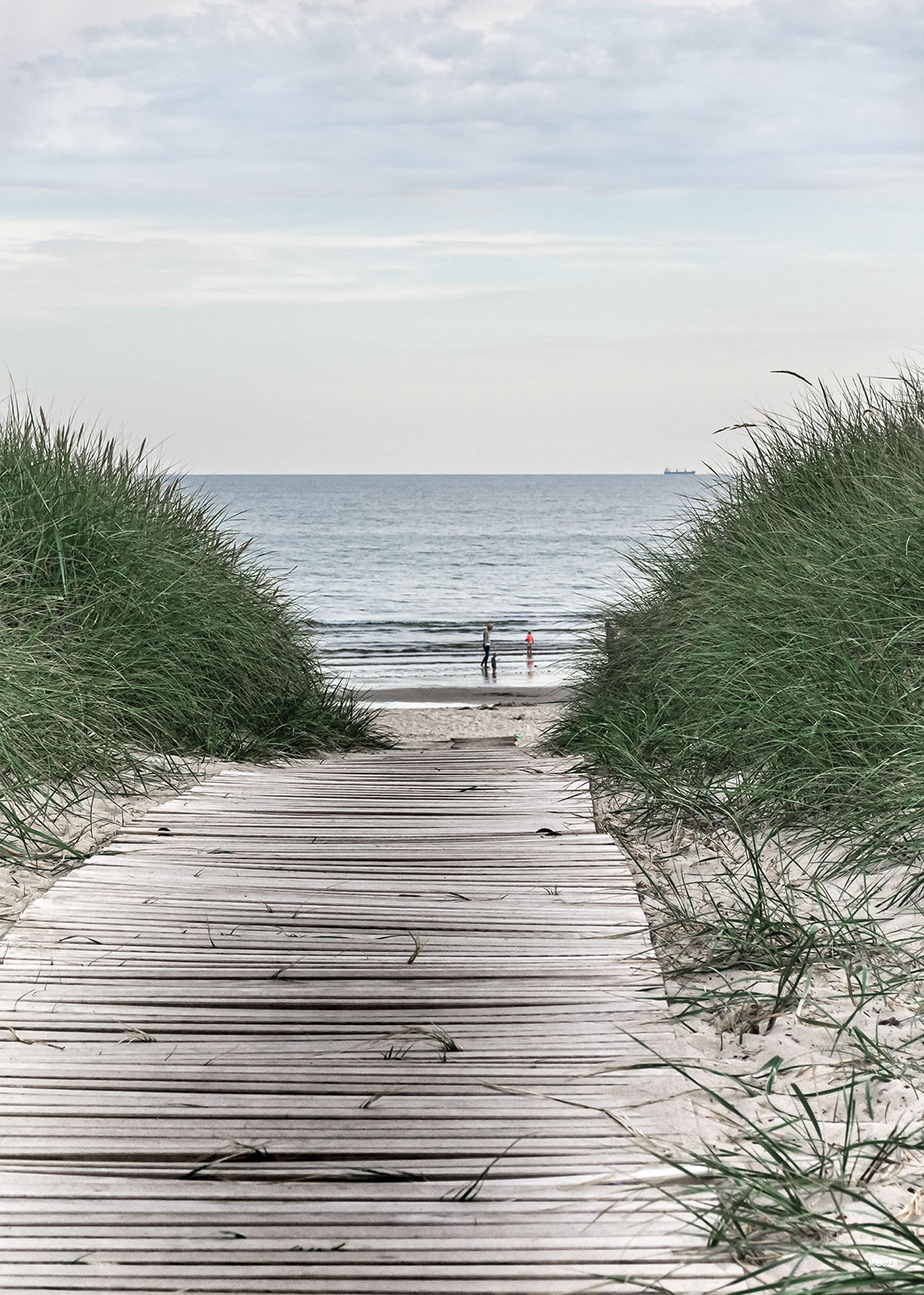 Blåvand Hvidbjerg Strand